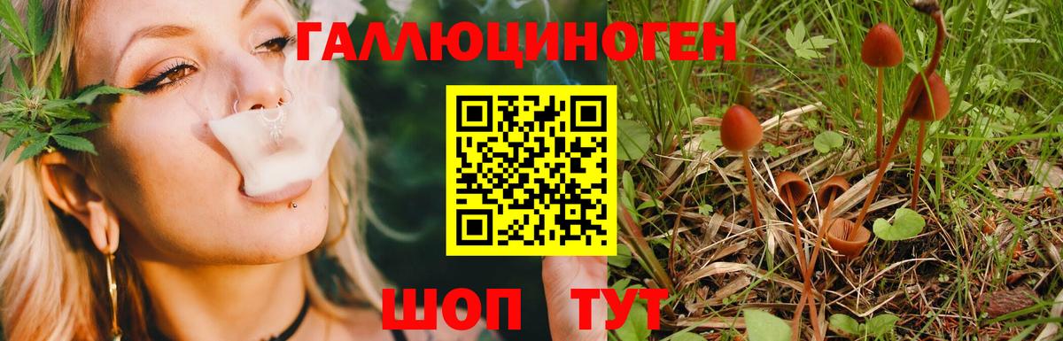 Псилоцибиновые грибы Cubensis  Вход с VPN  купить закладку  Краснокаменск 